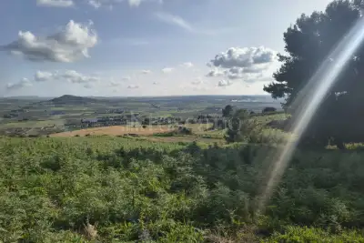 Agricolo in vendita, Contrada Martognella, Valderice