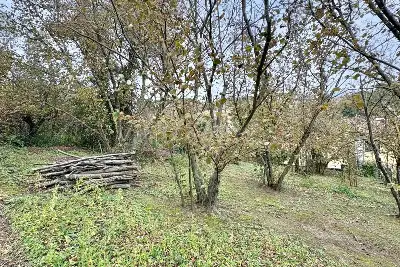 Edificabile Residenziali in vendita, Strada Provinciale 185 , Montefredane, Montefredane