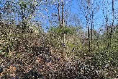 Agricolo in vendita, Via Sant'Agostino, Mariano Comense
