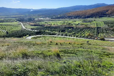 Agricolo in vendita, Località Caria Girifalco, Girifalco