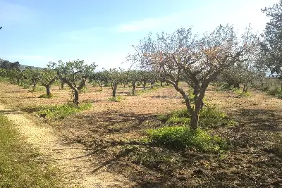 Agricolo in vendita, Via Emanuela, Erice