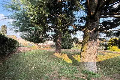 Edificabile Residenziali in vendita, Via Pinerolo, Cantù