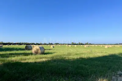 Agricolo in vendita, Viale delle Pagliete, Fiumicino