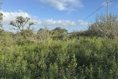 Edificabile Residenziali in vendita, Loiri porto san Paolo, La castagna, via del mandorlo, Loiri Porto San Paolo