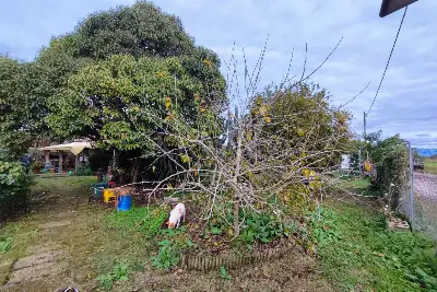 Casa in vendita, Via Delle Grugnole, Nettuno