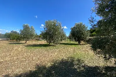 Agricolo in vendita, Via San Marco, Calatabiano