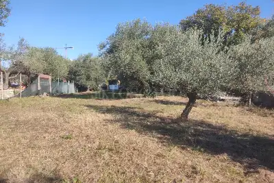 Agricolo in vendita, Vicolo della Patatona , Ciampino