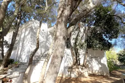 Casa Indipendente in vendita, Strada Statale Orientale Sarda, Olbia