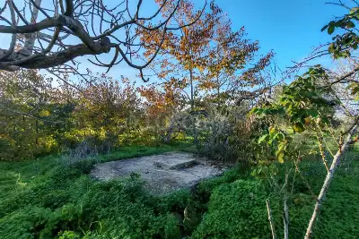 Capannone in vendita, SS16, Brindisi