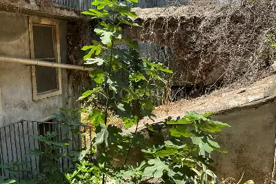 Casa Indipendente in vendita, Via Santa Lucia, Mascalucia