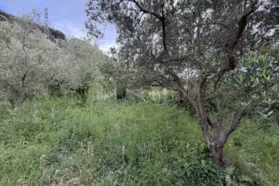 Agricolo in vendita, Via San Cosimo, Messina