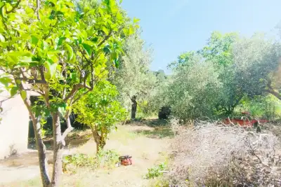 Casa Indipendente in vendita, Viale delle Ginestre, San Giuseppe Jato