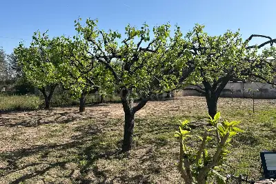 Villa in vendita, Strada Vicinale Badde Fustiggiu, Sorso