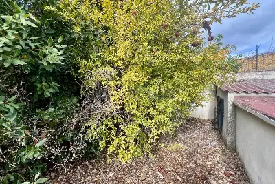 Casa Indipendente in vendita, Via Giuseppe Garibaldi, Sant'Agata li Battiati