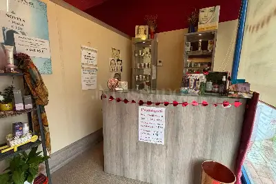 Attività Commerciale in vendita, Via Alessandro Volta, Desio