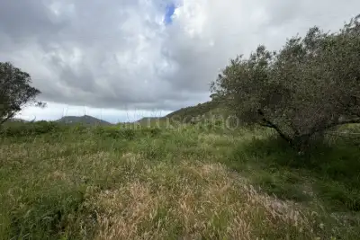 Agricolo in vendita, Via San Cosimo, Messina