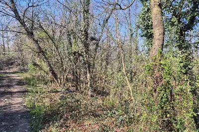 Agricolo in vendita, Via Sant'Agostino, Mariano Comense