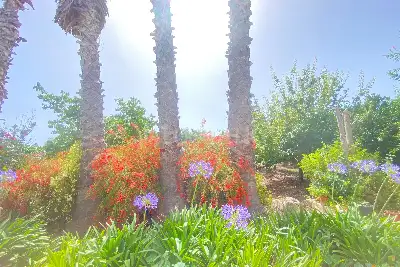 Villa in vendita, Via San Giovanni Bosco, Siracusa