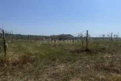 Agricolo in vendita, Strada Cassia Sud, Viterbo