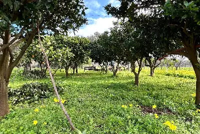 Casa Indipendente in vendita, Strada Vicinale Punta Moro, Alghero
