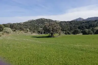Agricolo in vendita, Loc Graminatoggiu , Loiri Porto San Paolo