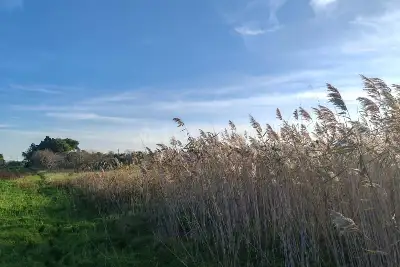 Capannone in vendita, SS16, Brindisi