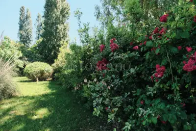 Villa Bifamiliare in vendita, Via Ippia di Elide, Roma