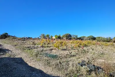 Agricolo in vendita, Località Li Paddimi, Castelsardo