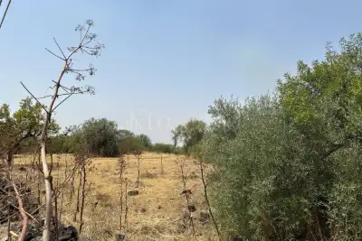 Agricolo in vendita, Via Mompilieri, Nicolosi