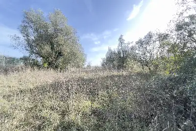 Agricolo in vendita, Frazione Grotte Santo Stefano - Viterbo, Viterbo