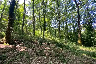 Agricolo in vendita, Via dei Boschi, Sutri