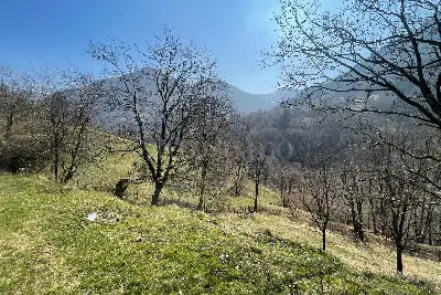 Rustico in vendita, Dizzasco, Loc. Pesee, Dizzasco