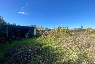 Agricolo in vendita, Via della storta, Roma