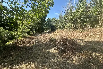 Agricolo in vendita, San Leucio, Vaccheria, Caserta