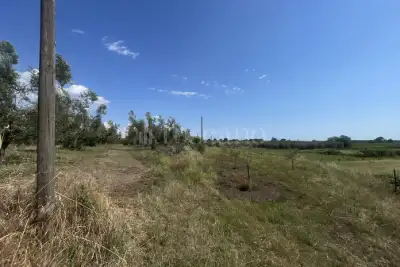 Agricolo in vendita, Strada Cassia Sud, Viterbo
