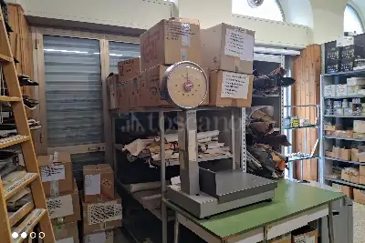 Negozio in affitto, Via Massimo D'Azeglio, Trieste