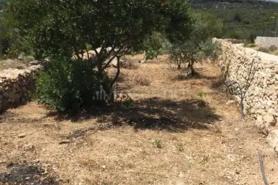 Agricolo in vendita, Strada Vicinale Logulentu Badde Tolta, Sassari
