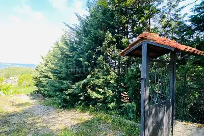 Agricolo in vendita, Via delle foreste, Manocalzati, Manocalzati