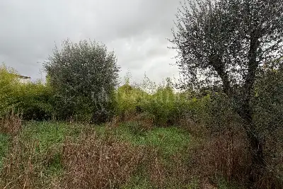 Casa Indipendente in vendita, Via Casorzo, Roma