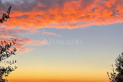 Villa in vendita, Via Olivella, Albano Laziale