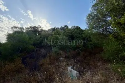 Agricolo in vendita, Via Raica, Olbia