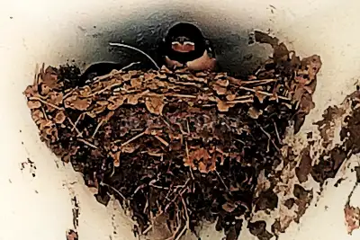 Villa in vendita, Cairo Montenotte via Sant'Anna 9/a, Cairo Montenotte