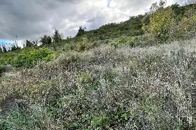 Agricolo in vendita, Via Cristoforo Colombo, Florinas