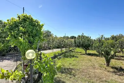 Casa Indipendente in vendita, Strada Vicinale Li Buttangari, Sorso