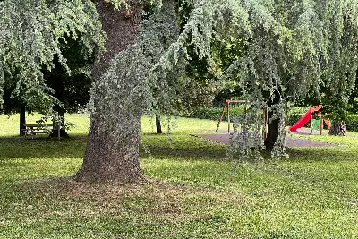 Stanza in affitto, Via Pier Paolo Pasolini, Roma