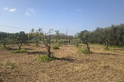 Agricolo in vendita, Via Emanuela, Erice