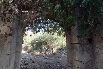 Agricolo in vendita, Noto, Noto