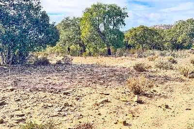 Agricolo in vendita, Trudda , Loiri Porto San Paolo