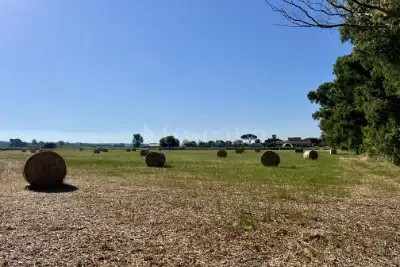 Agricolo in vendita, Viale delle Pagliete, Fiumicino