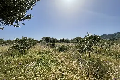 Agricolo in vendita, Piano Torre Spartà, Messina